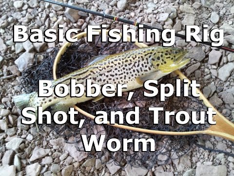 Rigs for Trout Fishing: Spinning Tackle Options for Streams and