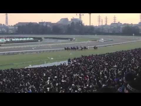 第５９回有馬記念 （実写）ジェンティルドンナ　2014 Arima Kinen (alternative footage)