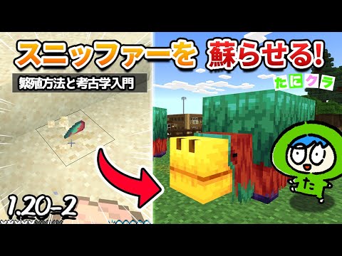 ネプティクラについて詳しく解説