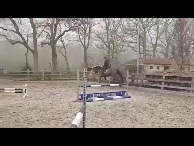 Riding movie Extra Z.