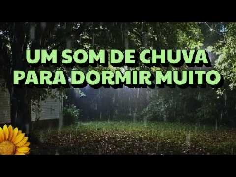 CHUVA, VENTO Leve e TROVÕES CONSTANTES | Perfeito para DORMIR