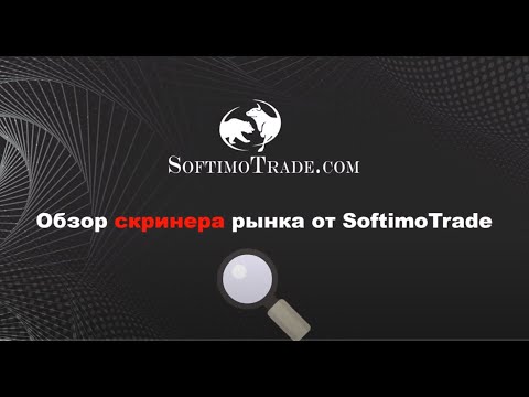 Video Market Screener for MT5