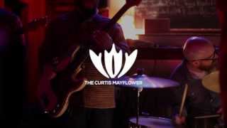 The Curtis Mayflower  - The Making of Everything Beautiful Is Under Attack