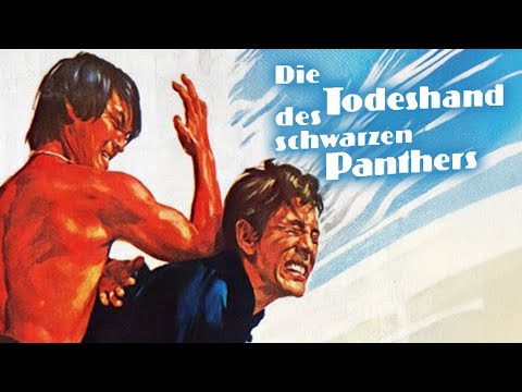 Die Todeshand des schwarzen Panthers (Actionfilme in voller Länge, Asiakino, kostenlose Filme)