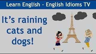 Learn / Teach English Idioms: It&#39;s raining cats and dogs!