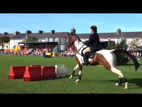 Hunt and Stunts - jumping, Amazing Horse Freestyle