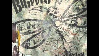 BigWig - Owned and Operated