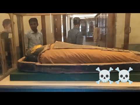 Tutu Mummy|The X-ray|Recently Done|March 2011|Egyptian Dead body|2400 Year Old|Albert Hall Museum