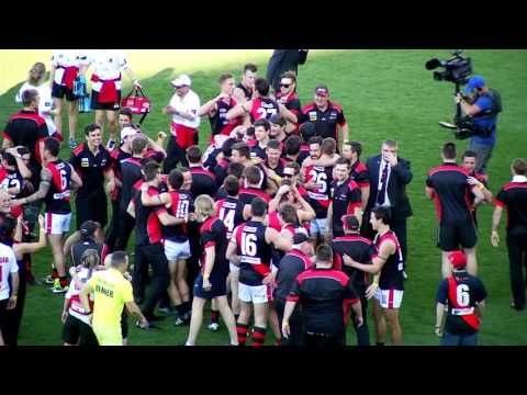 2015 SANFL IGA League Grand Final Highlights - Eagles v West