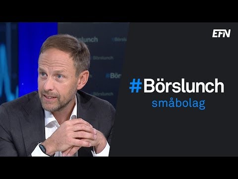 Två heta småbolag | Börslunch 7 november