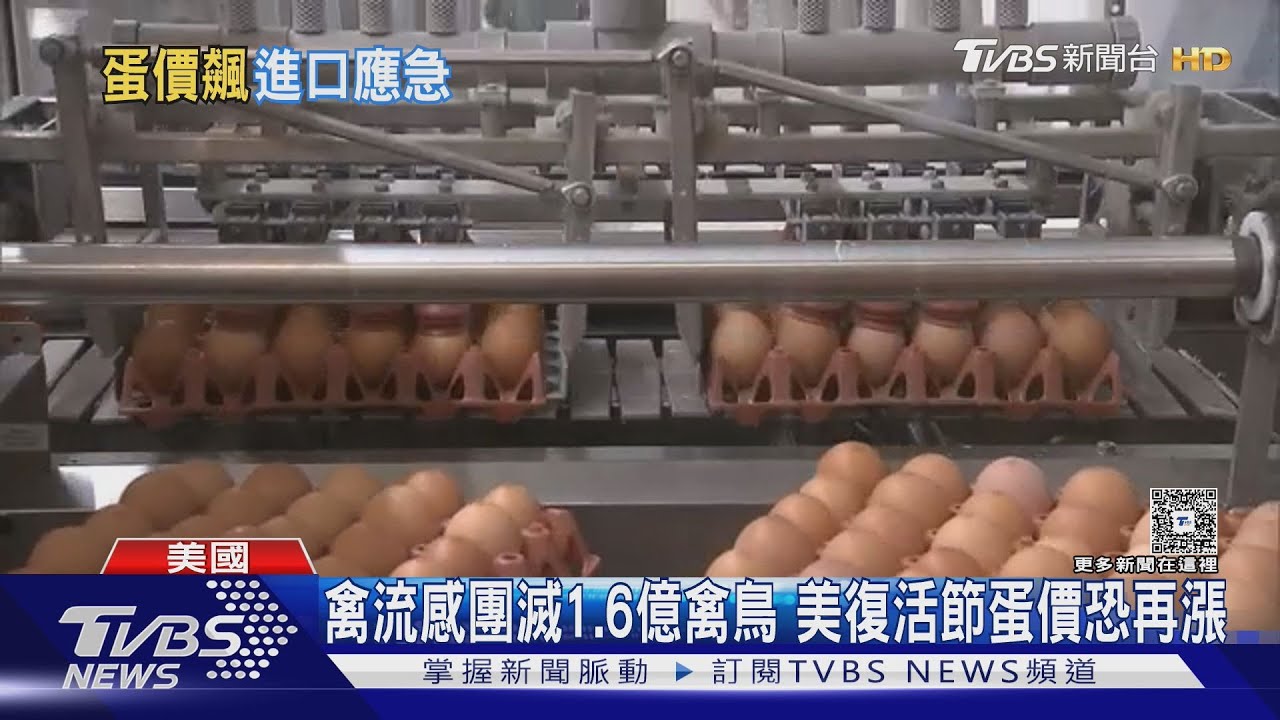 復活節蛋荒! 佛州人吃「鬣蜥蛋」美進口億顆蛋應急