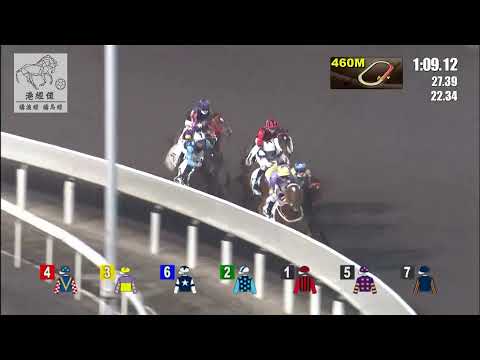 港經佬賽事重溫｜29-12-2021 沙田夜馬第二場賽事重溫 (291)｜超能力 WILL POWER (D093)｜薛恩 B Shinn｜韋達 D J Whyte｜免費心水及賽馬貼士