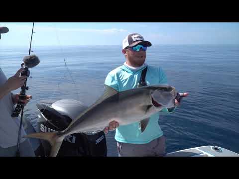 download lagu mp3 mp4 Cape Coral Fishing Guides, download lagu Cape Coral Fishing Guides gratis, unduh video klip Cape Coral Fishing Guides