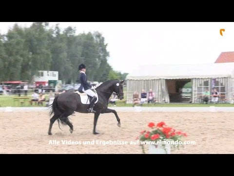 Follow me OLD siegt in der BuCha-Quali in Hille