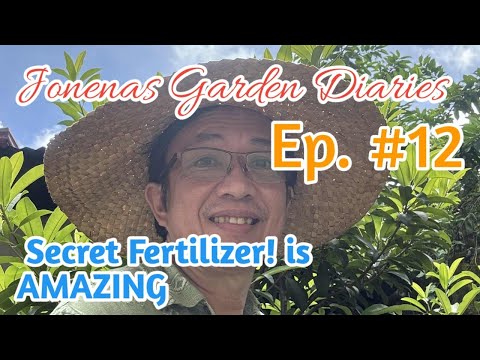 Ep. 12 |The Secret Food I Give My Mulberry Watch This Incredible Growth Boost #jonenasgardendiaries 