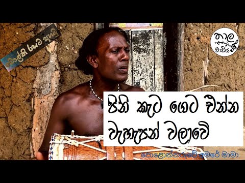 Pini Keta Geta Enna (පිනි කැට ගෙට එන්න වැහැපන් වළාවේ)  | Cover Song | Polonnaruwe Amare Mama