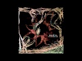 Nadja - Flowers of Flesh (rerecorded version ...
