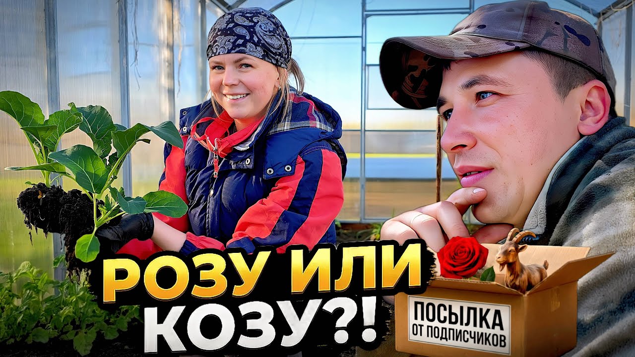 Деревенская ЖИЗНЬ трёх ПОКОЛЕНИЙ. Подарили РОЗУ или КОЗУ? Сеем и Сажаем. ПОСЫ