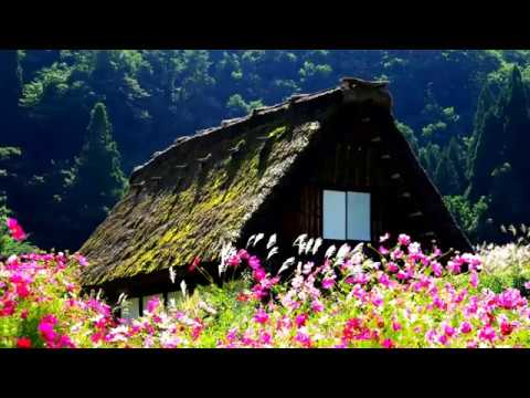 download lagu mp3 mp4 Jungle Flowers, download lagu Jungle Flowers gratis, unduh video klip Download Jungle Flowers Mp3 dan Mp4 Full Gratis