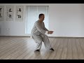 Taijiform According To Grandmaster Yang Chengfu Demonstrated By Jan Silberstorff 2021