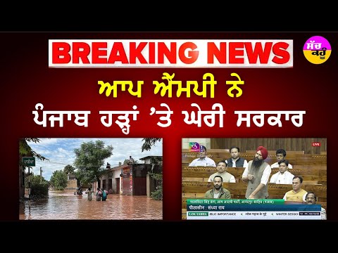 Malvinder Kang Statement | ਪੰਜਾਬ ਦੇ ਹੜ੍ਹ ਪੀੜਤਾਂ ਦੀ AAP MP ਨੇ  Parliament 'ਚ ਚੁੱਕੀ ਆਵਾਜ