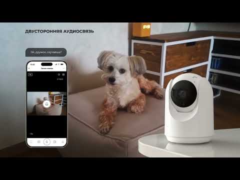 Превью видео