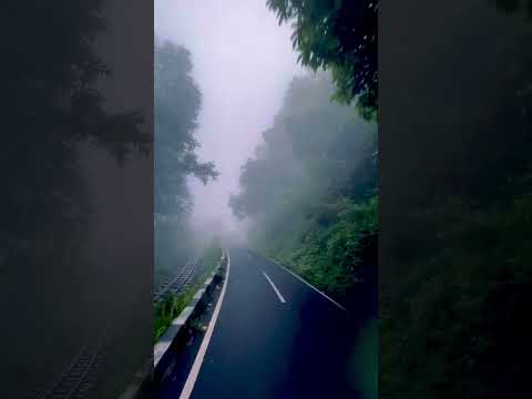 Nature View short video || Baljeet Roy | #nature #view #views #views_viral_video_subscribers_grow