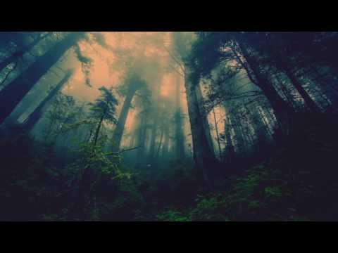 ॐ GERUMPELSTILZCHEN ◦ Doom Shroom | FOREST PSY / DARK PSY | 147 BPM ॐ