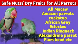 Nuts Dry Fruits for All parrots | Macaw | Amazon parrot | cockatoo | African Grey | Indian parrot