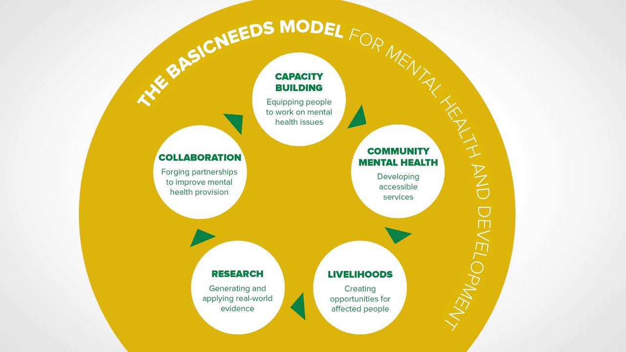 An Introduction to BasicNeeds