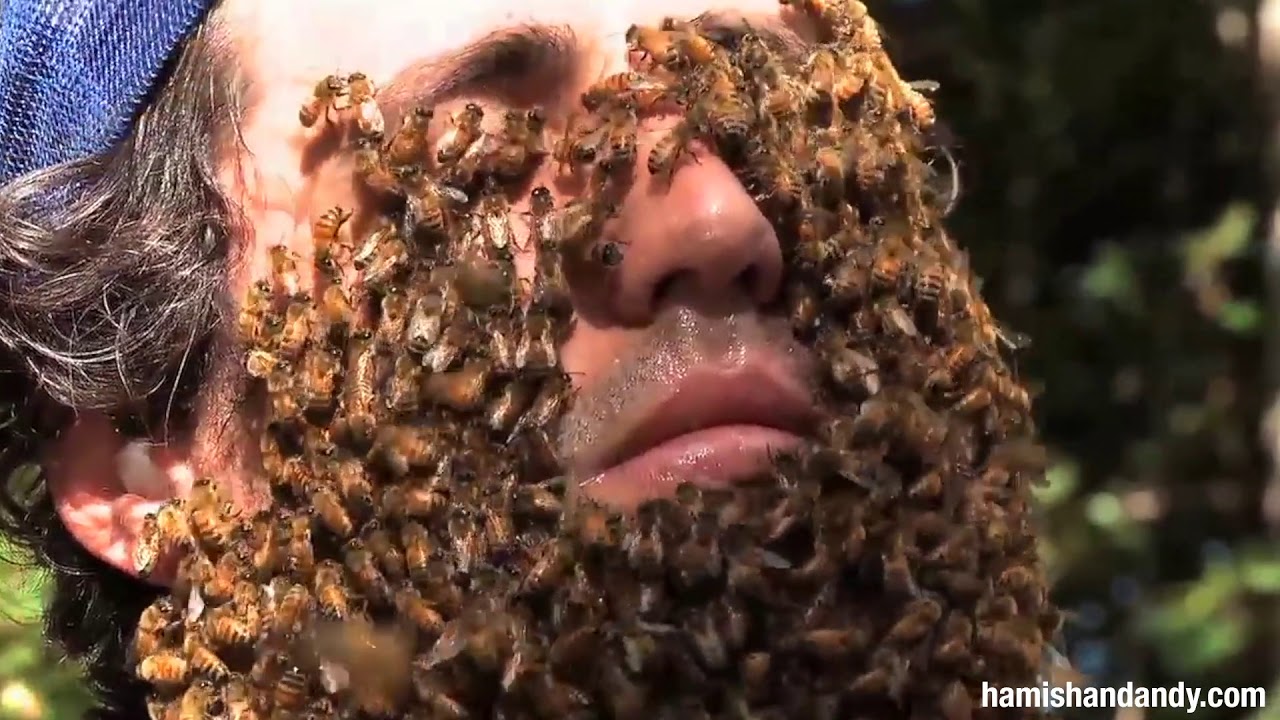 Andy's Bee Beard