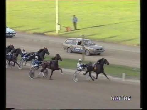 Derby Del Trotto 1998 Varenne