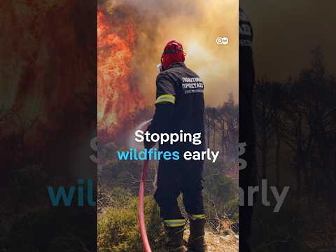Is Europe doing enough to prevent wildfires? | DW News