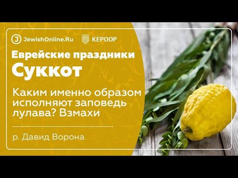 Еврейские праздники: Суккот. Урок 8: Каким именно образом исполняют заповедь лулава? Взмахи