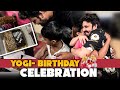 Yogi Birthday Celebration Yogi S Biggest Dream Come True Myna S Gift Myna Wings