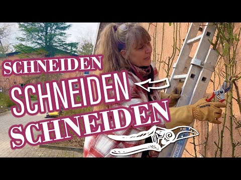 Schneiden Schneiden Schneiden