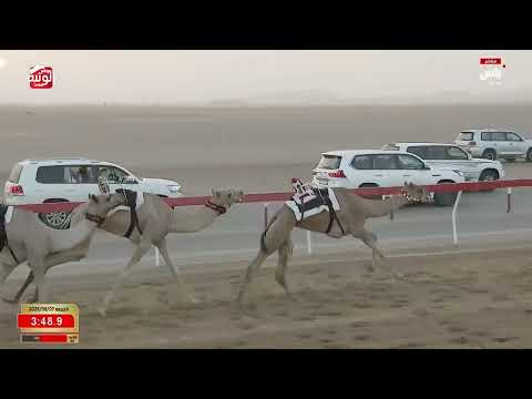 ش 4 (الوثبه) لـ صالح جابر بن صالح العامري 6:27:33 ، مهرجان العين 2026/08/07 إيذاع الروضة
