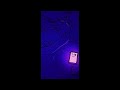 One Day Max Allais Sound Loop