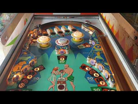 Gottlieb Aquarius Pinball Machine Fault