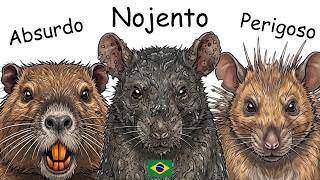 Cada Tipo de Rato do Brasil Explicado em 11 Minutos