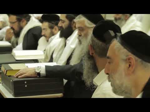 הרב יורם אברג'ל- המסר היומי –  לא עוזבים את הרב בשום מחיר – ט"ז תמוז תשפ"ו
