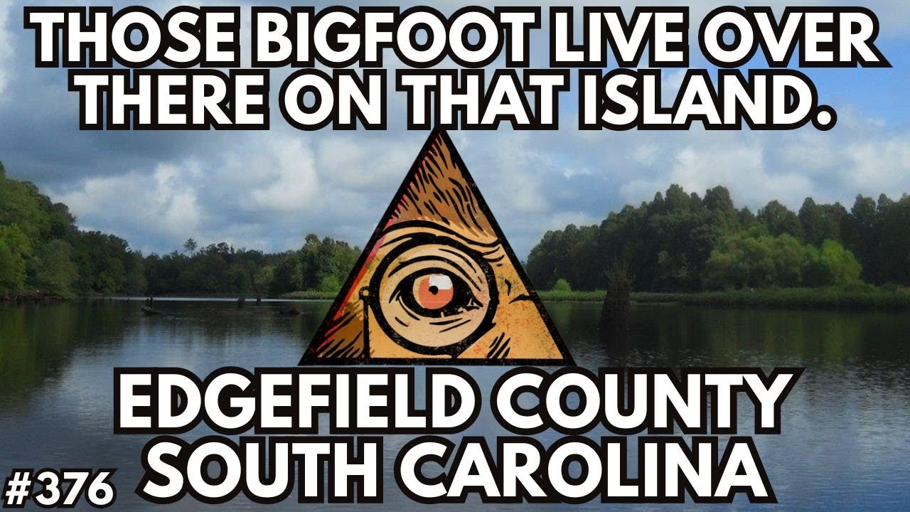 We All See It Around Stevens Creek