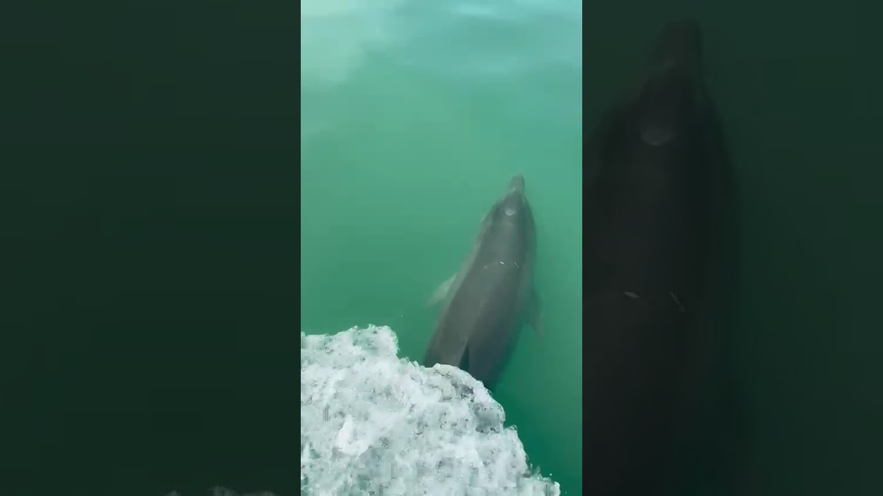 Hôtel Kasa Afrikana