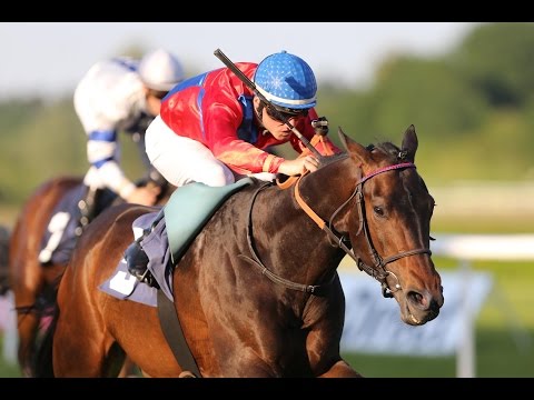 Baden-Baden: Preis der German Tote Wettschule (D) - Sieger: Licinius