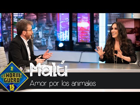 Malú, sobre su amor por los animales: "Peores cosas hemos tratado en nuestra vida" - El Hormiguero