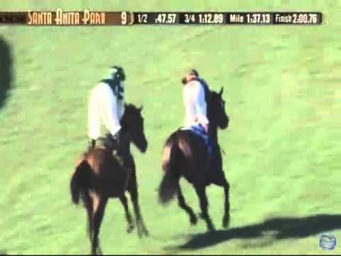 2015 Rodeo Drive Stakes - Photo Call (IRE)