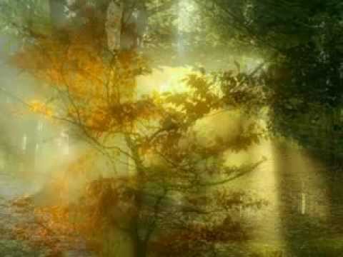 Miroslav Donutil a Petr Ulrych  ČERVÁNKY.wmv