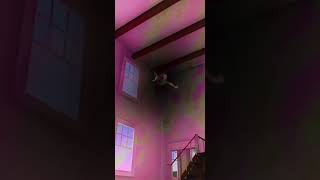 Download lagu All Jeremy wants is a cookie. mp3 Download lagu All Jeremy wants is a cookie. mp3