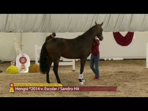 KN 23 v. Escolar - Sandro Hit