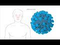 How Does Moderna S Coronavirus Vaccine Work